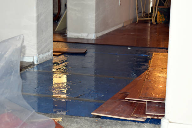 Professional Burst Pipe Cleanup technician working in Newbern, TN