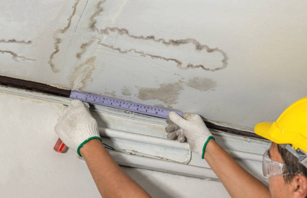 Reliable Burst Pipe Cleanup contractor in Newbern, TN by Water Damage Irwin
